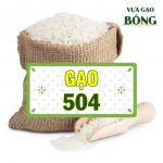 gao 504