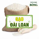 gao DAI LOAN