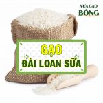 gao DAI LOAN SUA