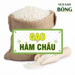 gao HAM CHAU