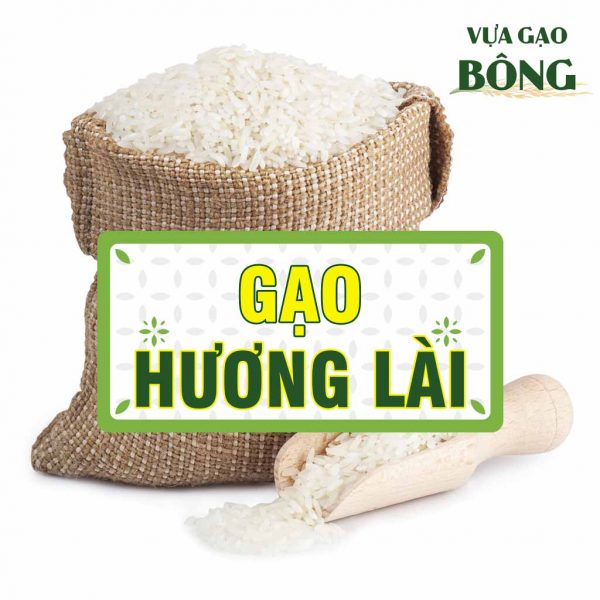 gao HUONG LAI