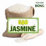 gao Jasmine