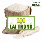 gao LAI TRONG