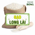 gao LONG LAI