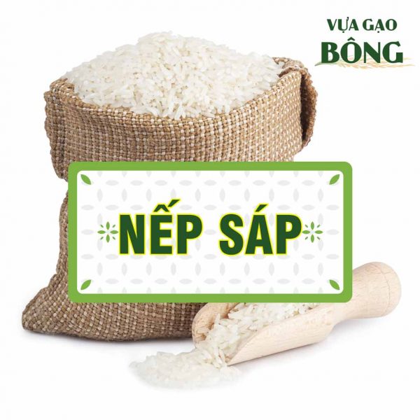 gao NEP SAP
