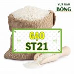 gao ST21