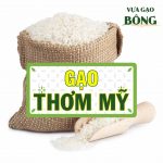 gao THOM MY